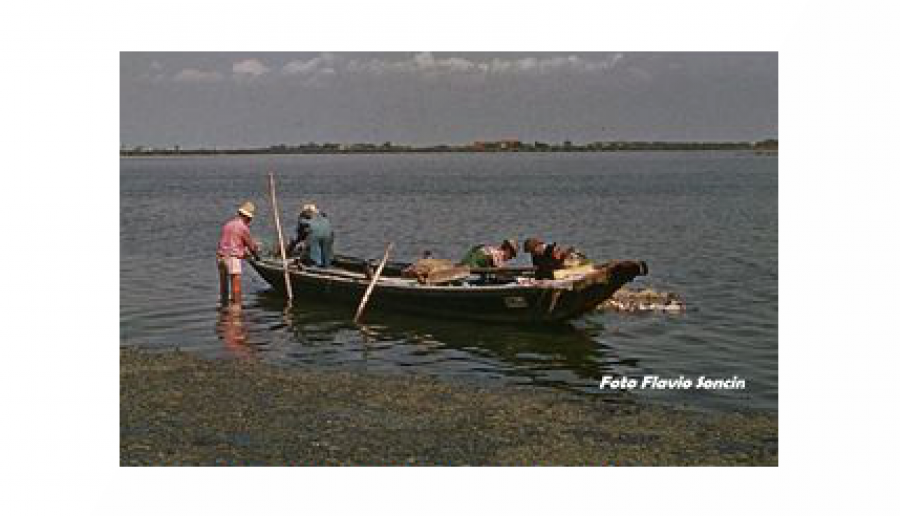 passeggiata I passi da Altino alla laguna (foto di Flavio Soncin)