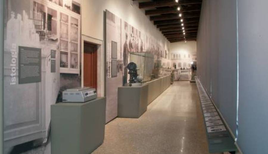 museo follia san servolo