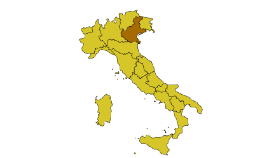 Minoranze linguistiche nel Veneto